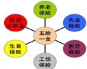 一节平常的创就业课程---给大家讲讲五险一金